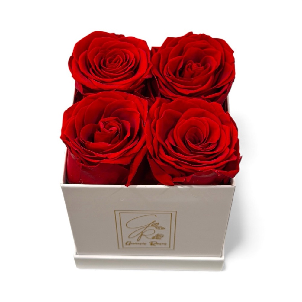 Elegant Red Roses in White Box